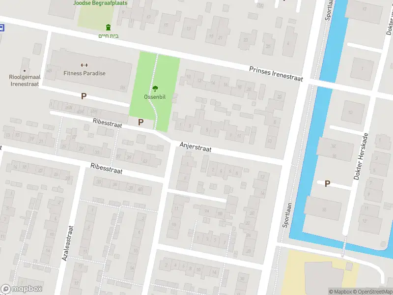 Ambulance met gepaste spoed naar de Anjerstraat in Oud-Beijerland