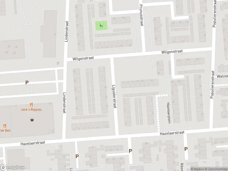 Ambulance met grote spoed naar de Ligusterstraat in Spijkenisse