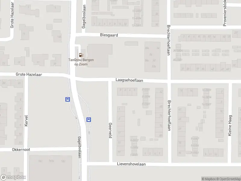 Traumahelikopter met grote spoed naar de Laagsehoeflaan in Bergen op Zoom