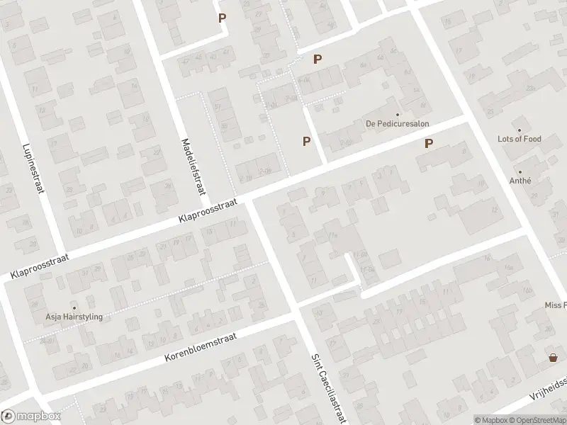 Overlastmelding Sint Caeciliastraat in Berkel-Enschot