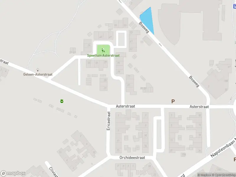 Overlastmelding Asterstraat in Geleen