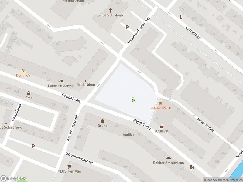 Ambulance met grote spoed naar de Rododendronplein in Rotterdam