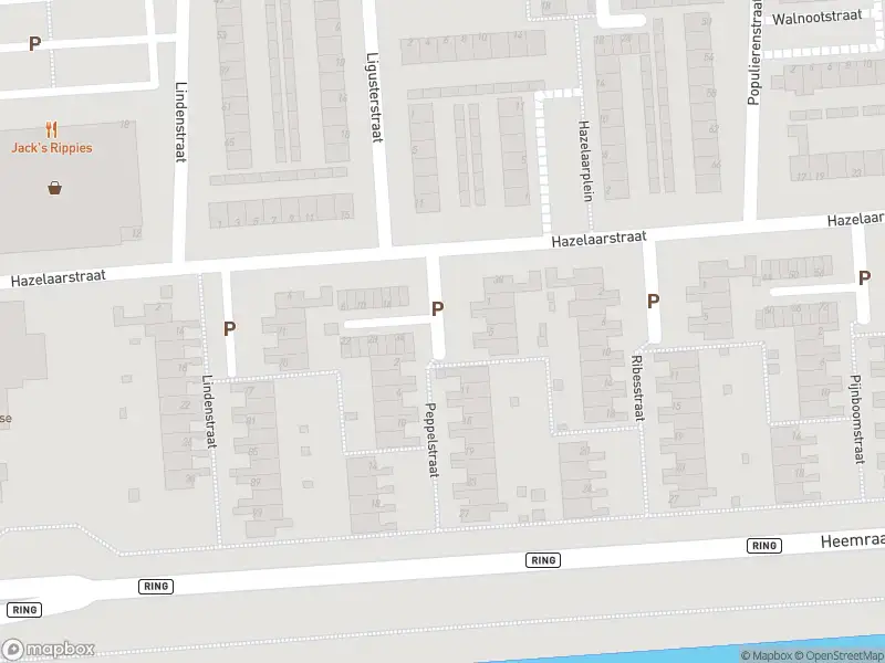 Ambulance met gepaste spoed naar de Peppelstraat in Spijkenisse