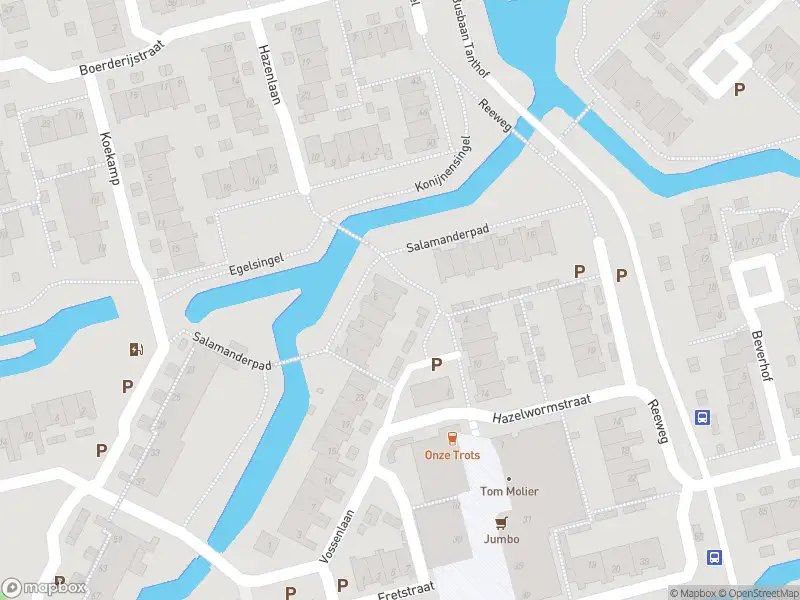 Ambulance met grote spoed naar de Salamanderpad in Delft