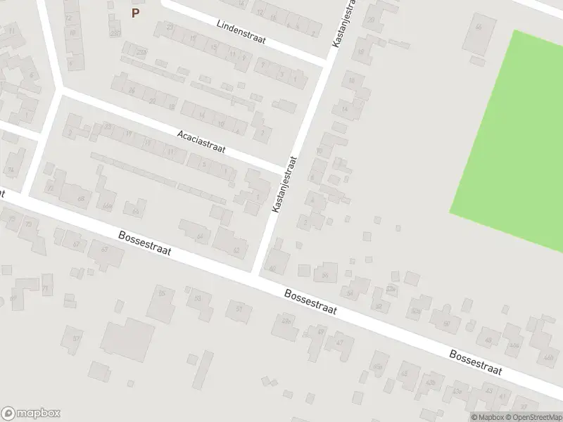 Brandweer met grote spoed naar de Kastanjestraat in Vogelwaarde vanwege gebouwbrand