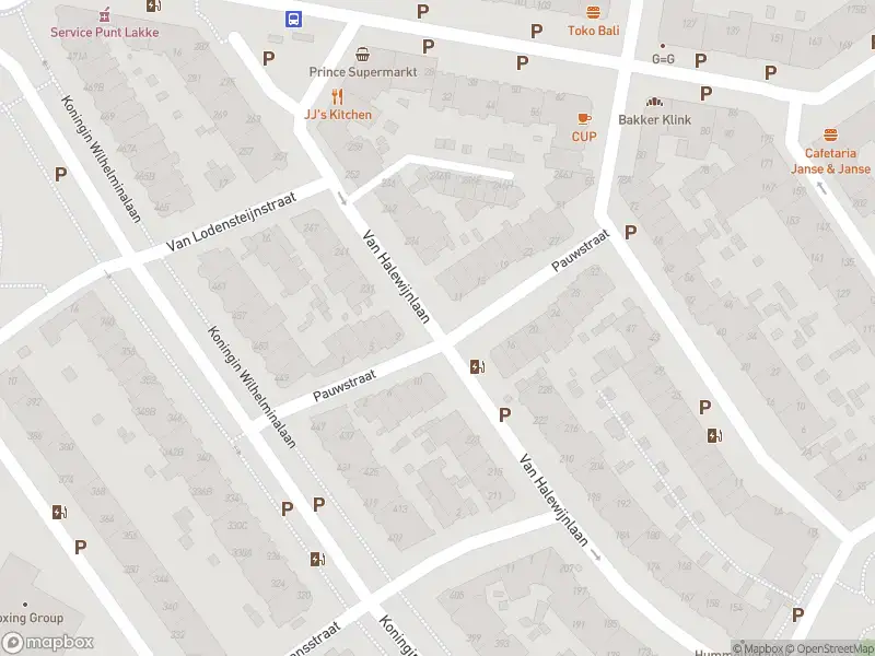 Ambulance met gepaste spoed naar de Von Geusaustraat in Voorburg