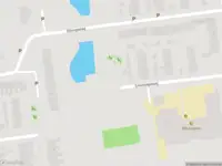 Politie met grote spoed naar de Veldlaan in Emmen vanwege schietincident