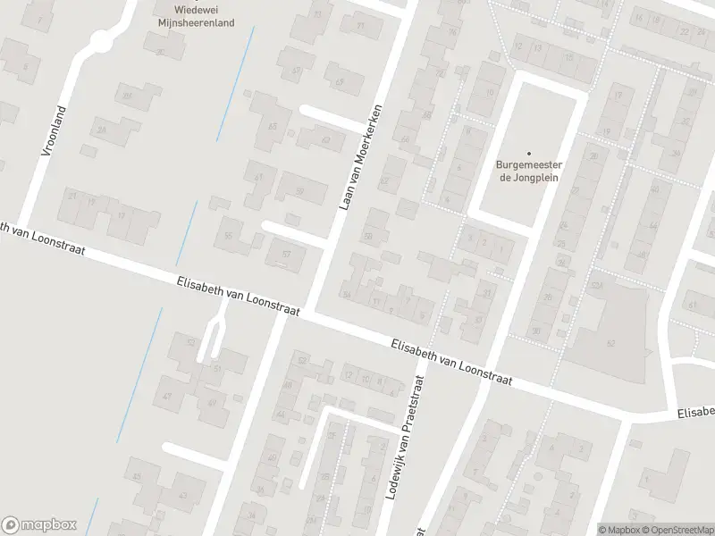 Ambulance met gepaste spoed naar de Laan van Moerkerken in Mijnsheerenland