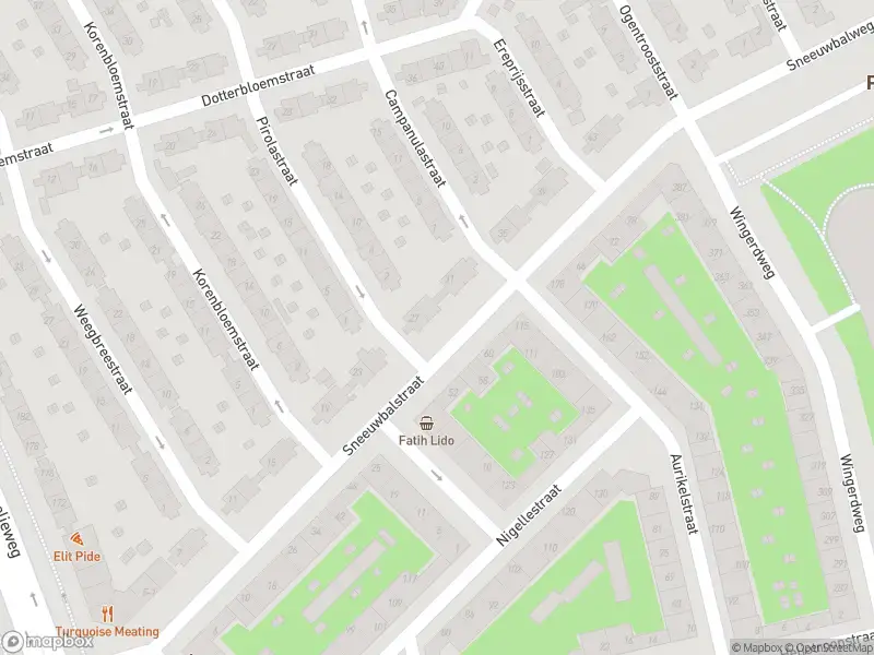 Brandweer met gepaste spoed naar de Sneeuwbalstraat in Amsterdam