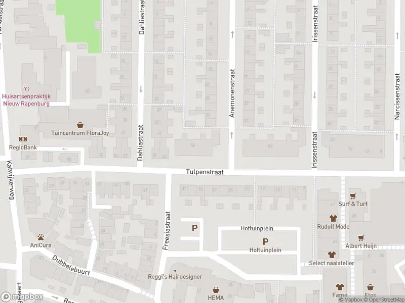 Overlastmelding Anemonenstraat in Rijnsburg gesloten