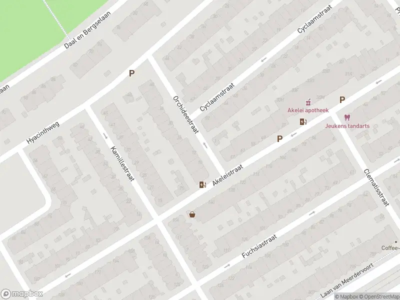 Ambulance met gepaste spoed naar de Orchideestraat in 's-Gravenhage