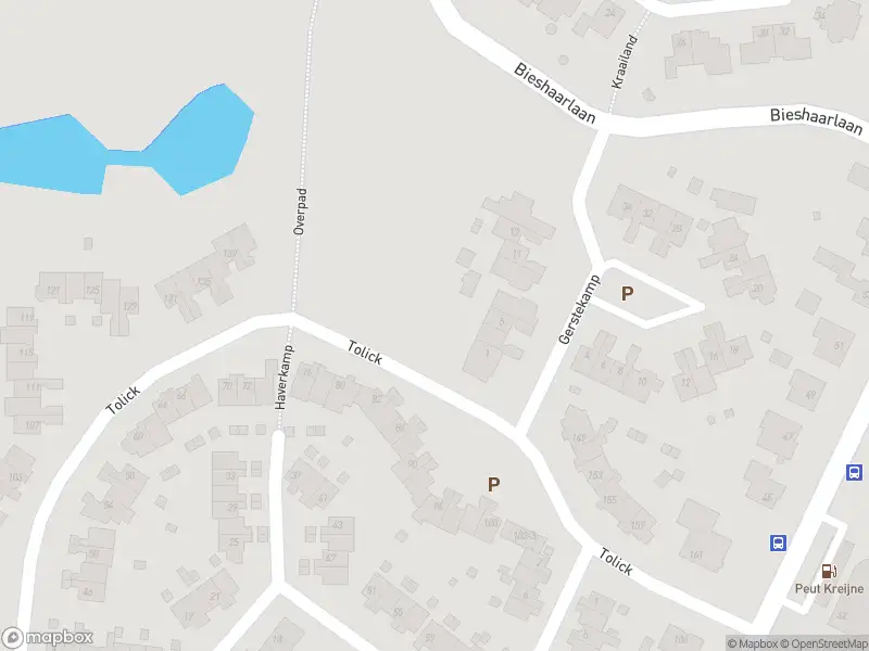 Brandweer met gepaste spoed naar de Tolick in Hoogland