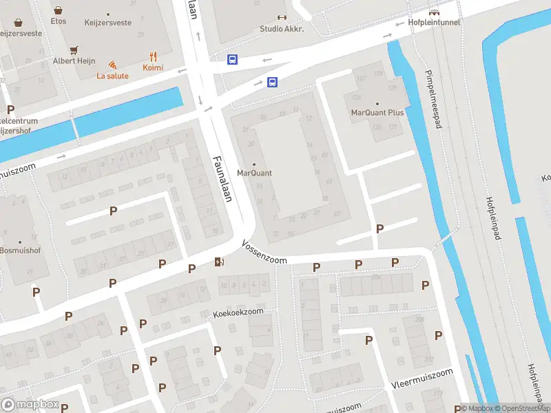 Ambulance met grote spoed naar de Vossenzoom in Pijnacker