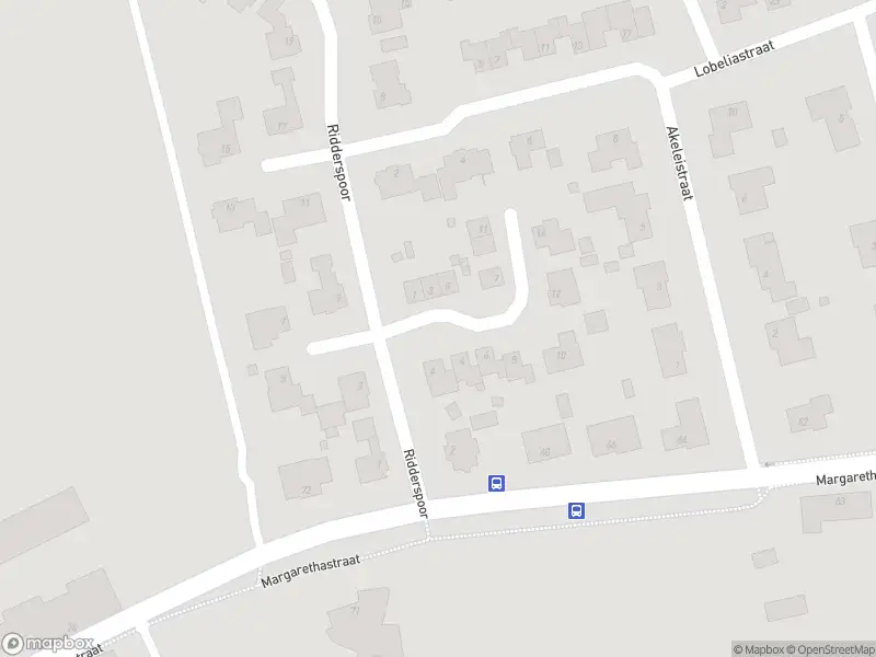 Ambulance met grote spoed naar de Molsveld in Ittervoort