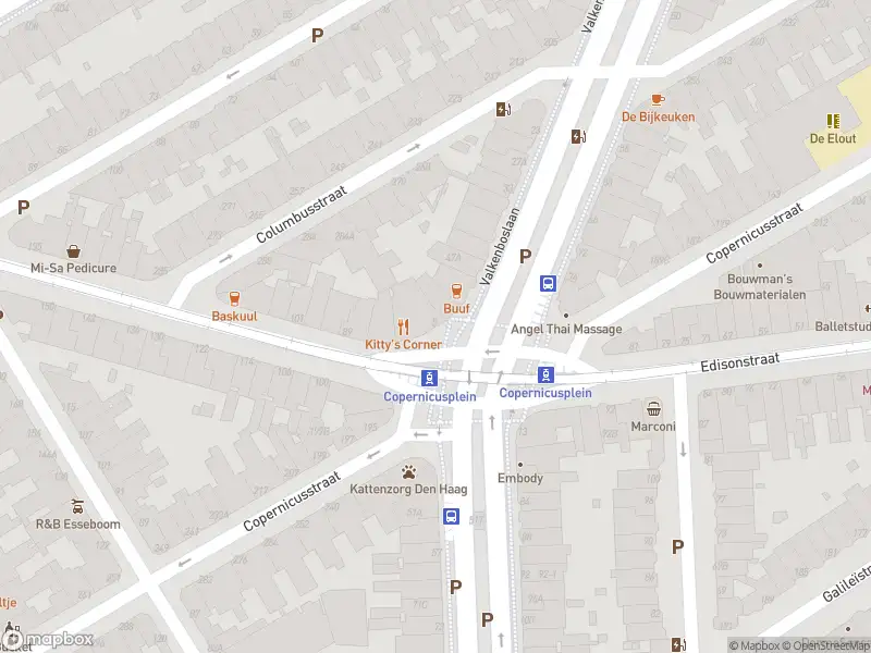 Ambulance met grote spoed naar de Copernicusplein in 's-Gravenhage