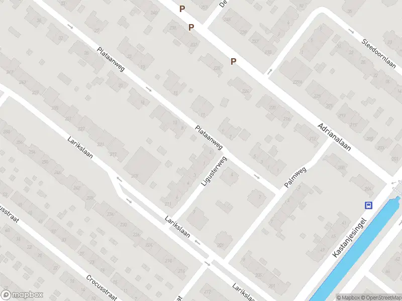 Ambulance met grote spoed naar de Plataanweg in Rotterdam