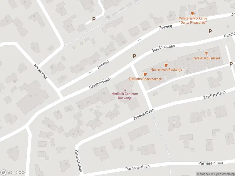 Ambulance met grote spoed naar de Duindoornlaan in Rockanje