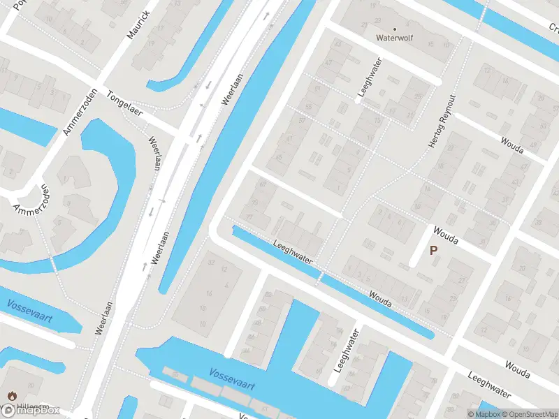 Overlastmelding Leeghwater in Hillegom