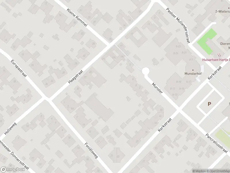 Overlastmelding Pastoor Delahayestraat in 6151AC Munstergeleen gesloten