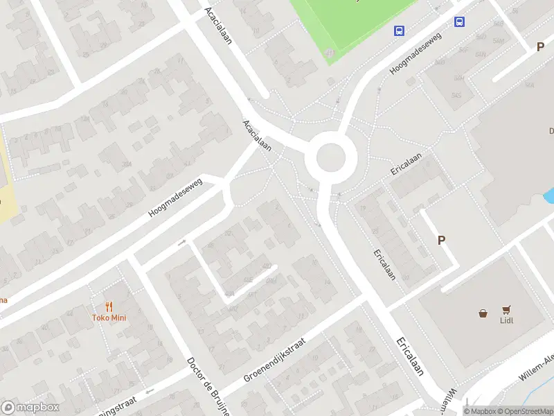 Ambulance met gepaste spoed naar de Ericalaan in Leiderdorp