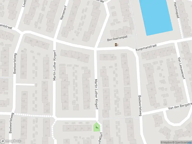 Overlastmelding Martin Luther Kingerf in Oud-Beijerland