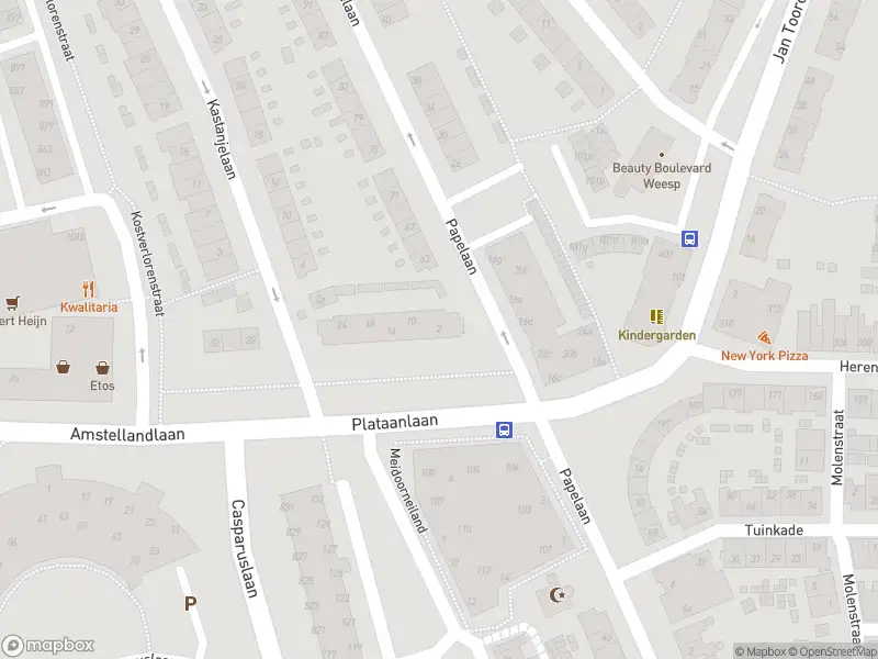 Brandweer met gepaste spoed naar de Plataanlaan in Weesp