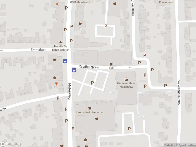 Brandweer met gepaste spoed naar de Markt in Maasbracht