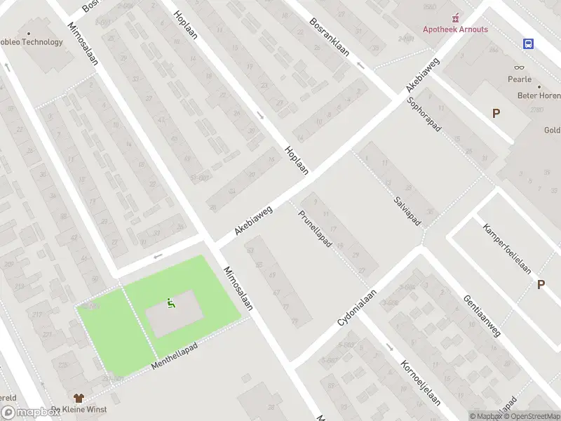 Brandweer met gepaste spoed naar de Bosranklaan in Eindhoven