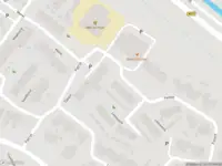 Overlastmelding Fazant in Maasdam