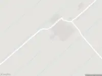 Brandweer met gepaste spoed naar de Broekpolderweg in Maasland vanwege dier(en) in nood