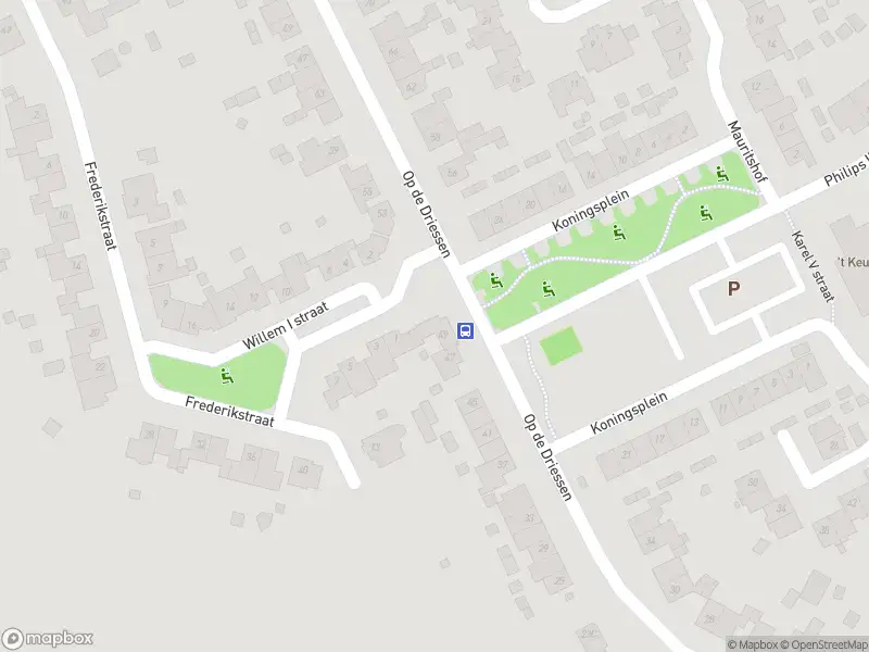 Overlastmelding Op de Driessen in Koningsbosch