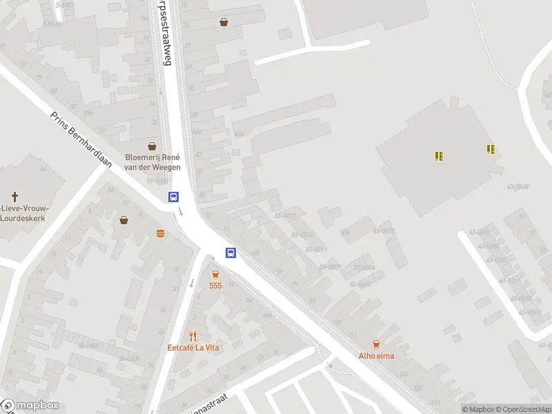 Politie met grote spoed naar de Prins Bernhardlaan in Bergen op Zoom vanwege letsel