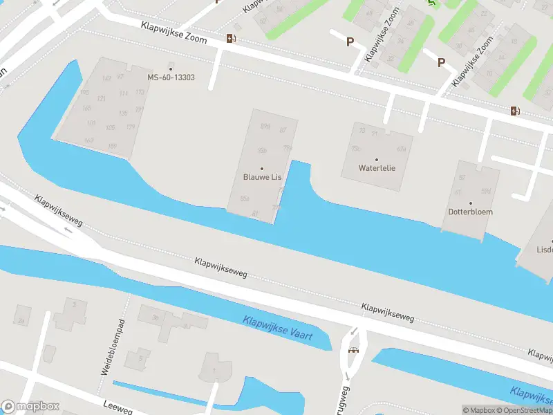 Ambulance met grote spoed naar de Klapwijkse Zoom in Berkel en Rodenrijs