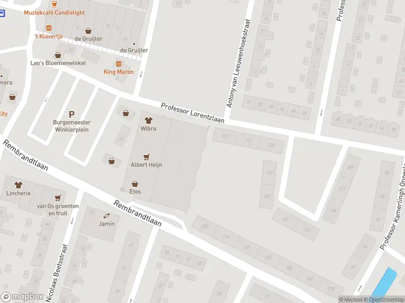 Ambulance met gepaste spoed naar de Prof. Lorentzlaan in Sliedrecht