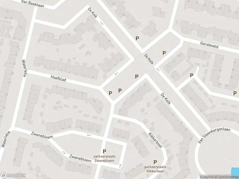 Overlastmelding Heinelaan in 3931WZ Woudenberg