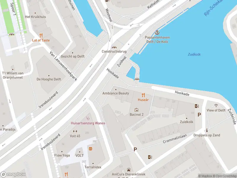 Ambulance met gepaste spoed naar de Hooikade in Delft