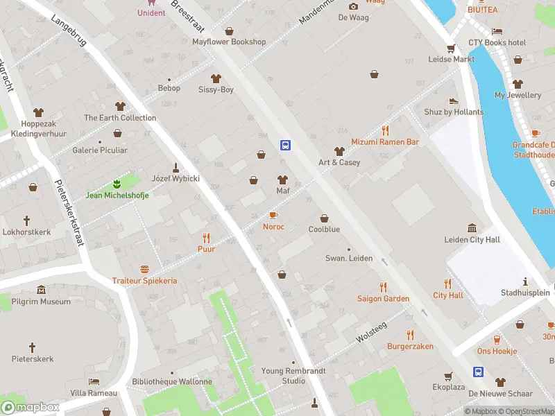 Brandweer naar de Pieterskerk-Choorsteeg in Leiden vanwege middelgrote brand