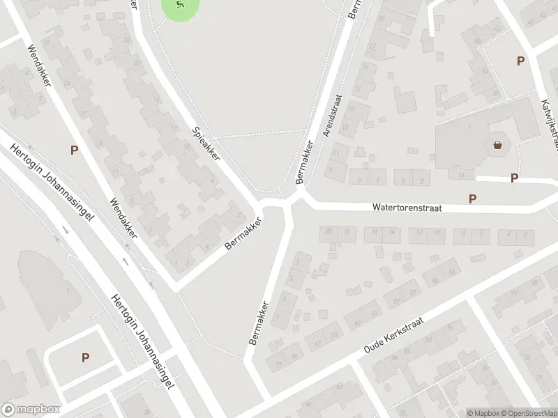 Politie naar de Bermakker in Oss