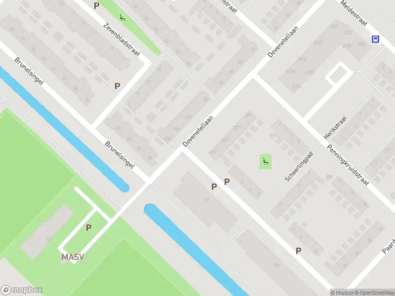 Overlastmelding Dovenetellaan in Arnhem