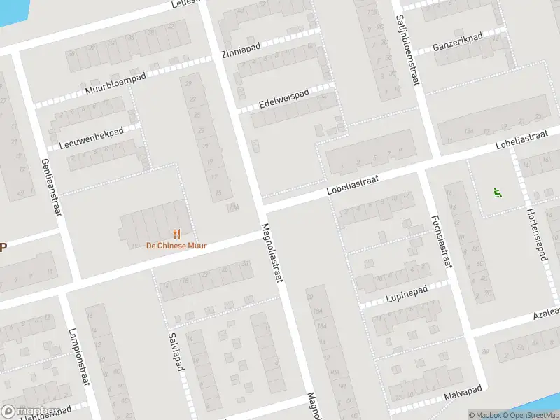 Brandweer met gepaste spoed naar de Orchideestraat in Spijkenisse