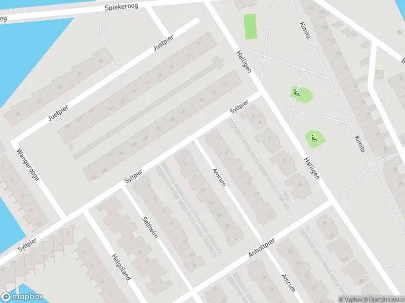 Ambulance met gepaste spoed naar de Amrum in Zaandam