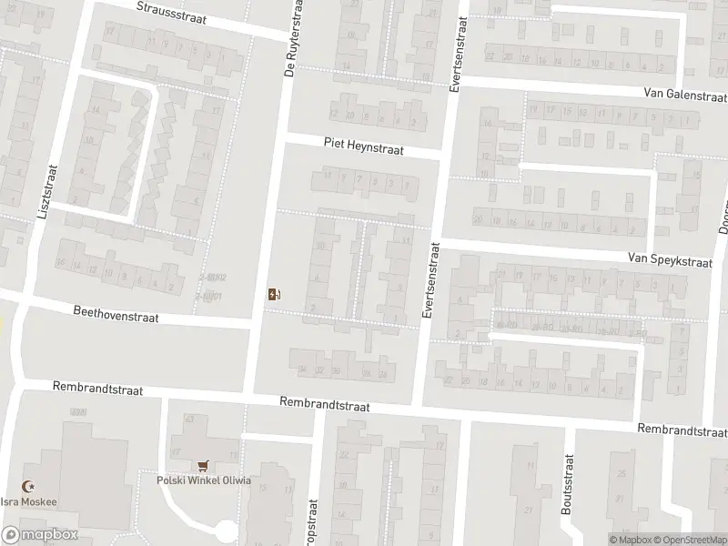 Overlastmelding Bizetstraat in 5102BL Dongen