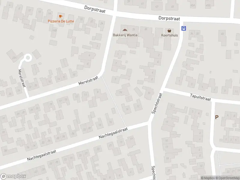 Politie naar de Bentheimerstraat in De Lutte vanwege aanrijding met letsel