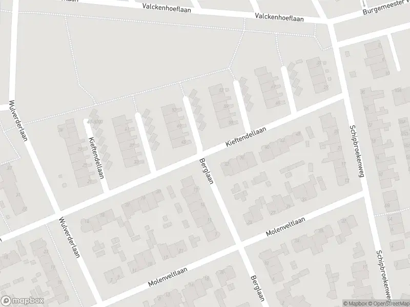 Overlastmelding Kieftendellaan in Santpoort-Noord