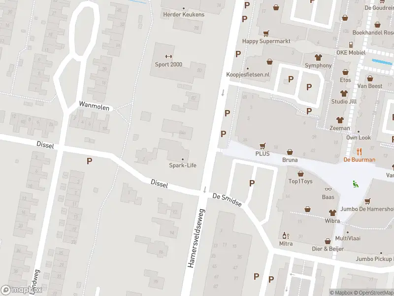 Brandweer met grote spoed naar de Lisidunalaan in Leusden vanwege gebouwbrand