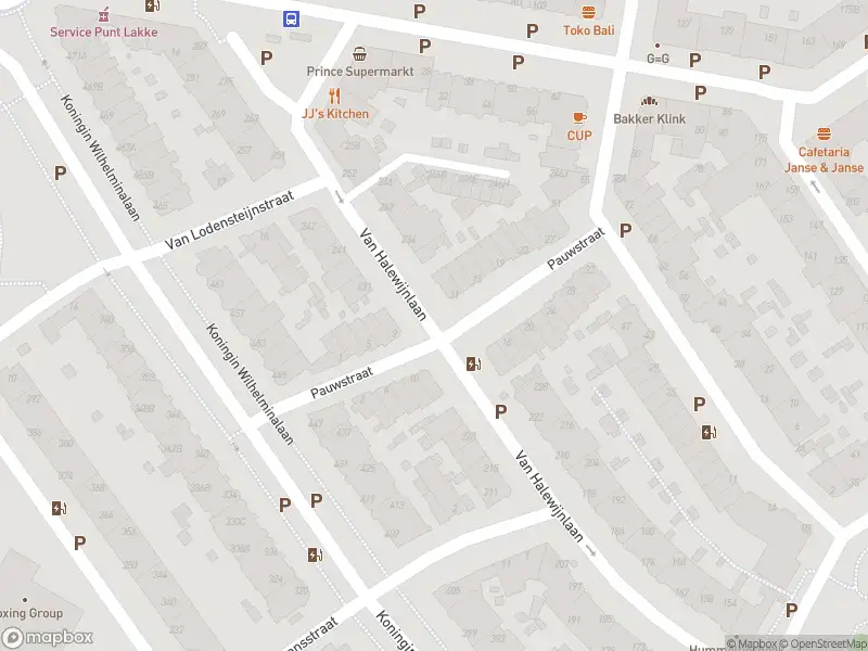 Ambulance met grote spoed naar de Van de Wateringelaan in Voorburg