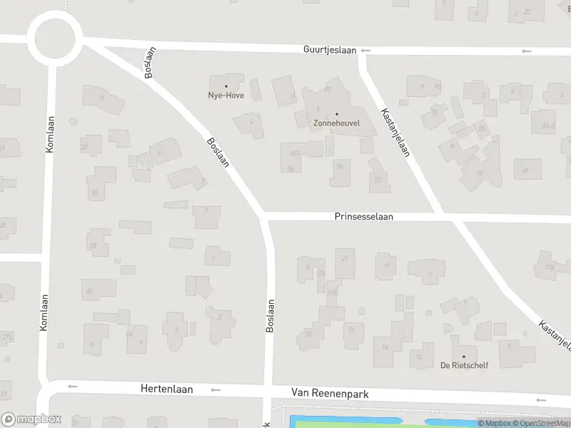 Ambulance met gepaste spoed naar de Guurtjeslaan in Bergen (NH.)