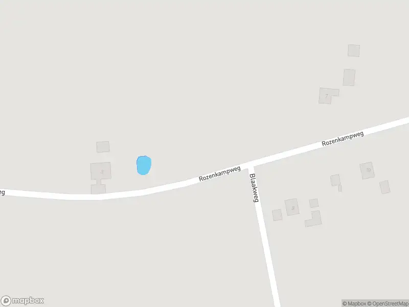 Brandweer met gepaste spoed naar de Rozenkampweg in Epe