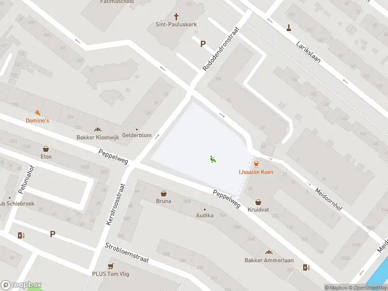 Besteld ambulance vervoer naar de Rododendronplein in Rotterdam