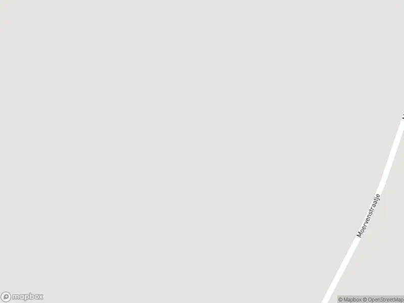 Overlastmelding Moervenstraatje in Sprundel